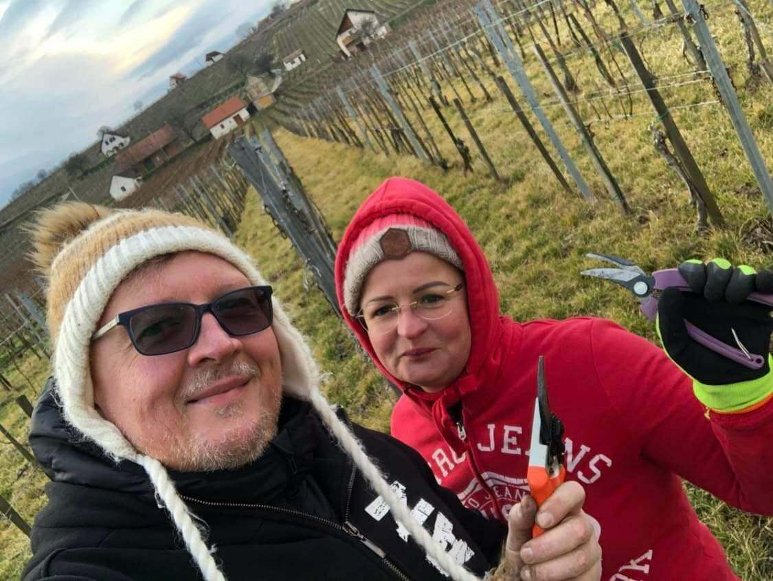 Misi és Móni a szőlőben, téli metszés közben